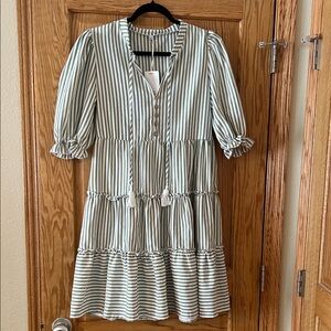 Chic Striped Long Sleeve Dress in Green and White